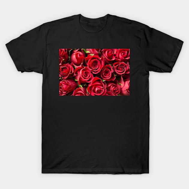 valentine's rose T-Shirt by the rasta